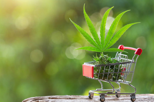 Best THC Carts To Buy in 2025 [Our Top Picks]