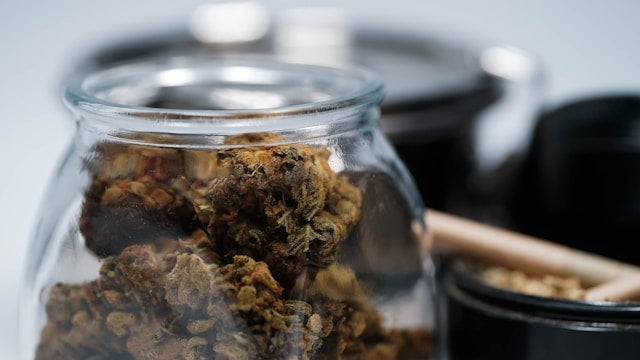 Best THCA Flowers of 2025 To Buy Online [Top Brands Reviewed]