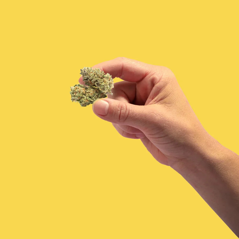 Banana Punch